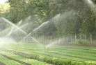 Telopea Downslandscaping-water-management-and-drainage-17.jpg; ?>